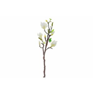Magnolia Large Spray White
