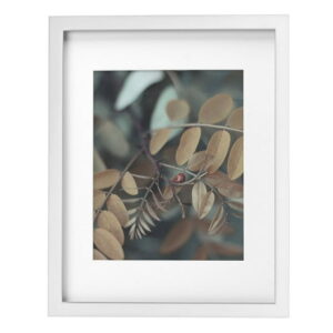 hometrends Gallery White Picture Frame, 11" x 14"/8" x 10"