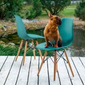 Heavenly Collection Navy Green Wood Chair SET OF 2