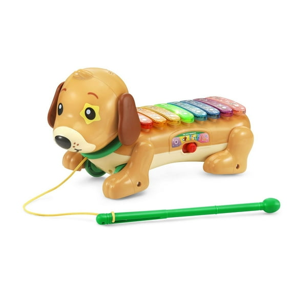 VTech Zoo Jamz Doggy Xylophone - Infant Musical Toy - English Version, 1.5-4 Years