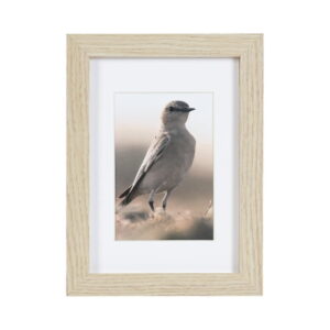 hometrends 5x7 Matted to 3.5x5 Gallery Natural Picture Frame, Classic Picture Frame