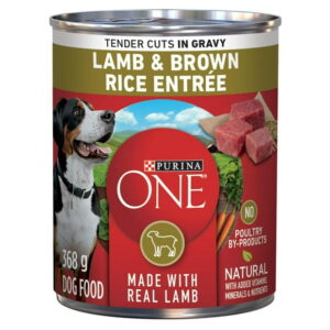 Purina ONE Tender Cuts in Gravy Lamb & Brown Rice Entrée, Wet Dog Food 368 g, 368 g