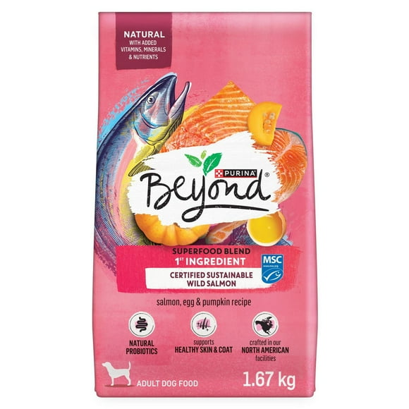 Beyond Superfood Blend Wild Caught Salmon, Egg & Pumpkin Recipe, Dry Dog Food, 1.67-10.2 kg