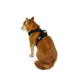 One Paw, Dog Harness with Bonded Mesh and Reflective Stitching, Multiple sizes and colour, One Paw Dog Harness with Bonded Mesh