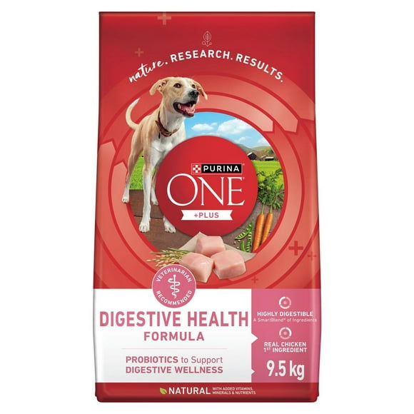 Purina ONE SmartBlend Digestive Health Formula Chicken, Dry Dog Food, 5.4-9.5 kg