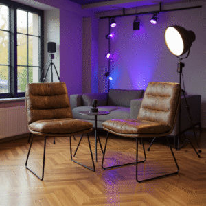 Homy Casa Set of 2 Thick Padded Dining Chairs with Silver Iron Legs for Dining Room or Office Space