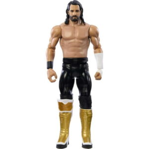 WWE Action 6-inch Collectible Figure Seth Rollins