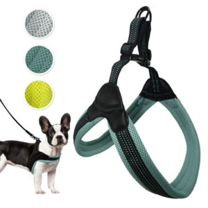 Sporn Easy-Fit Mesh Dog Harness, Breathable & Easy Dog Walking Harness, Turquoise, Small