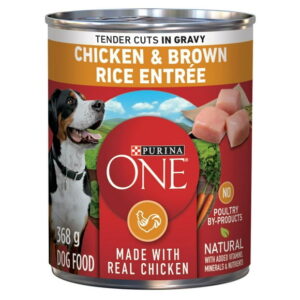 Purina ONE Tender Cuts in Gravy Chicken & Brown Rice Entrée, Wet Dog Food 368 g, 368 g